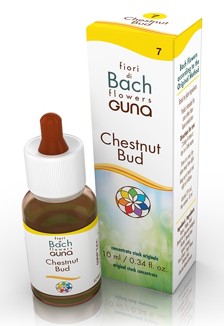 CHESTNUT BUD GOCCE 10 ML - farmascienza.it