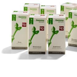 VITE VINIFERA MACERATO GLICERICO 50 ML - farmascienza.it
