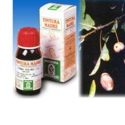 QUERCIA MARI 14 50ML TM - farmascienza.it