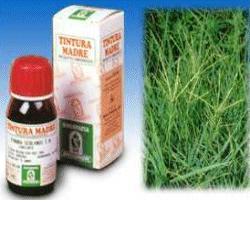 GRAMIGNA 37 50ML TM - farmascienza.it