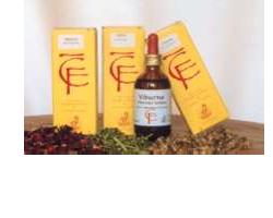 RIBES GEMME 50ML MG - farmascienza.it