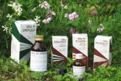 RAEMIL ELICRISO OLIO 25 ML - farmascienza.it