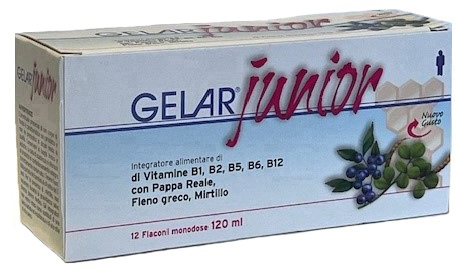 GELARJUNIOR 12 FLACONI MONODOSE 10 ML - farmascienza.it