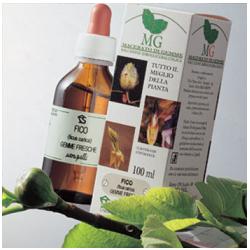 SEQUOIA MACERATO GLICERICO 100 ML - farmascienza.it