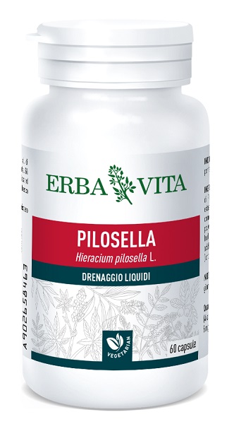 PILOSELLA 60 CAPSULE 400 MG - farmascienza.it