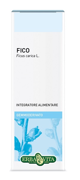 GEMMODERIVATO FICO 50 ML - farmascienza.it