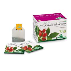 INFUSO BIO FRUTTA FRUTTI DI BOSCO 20 FILTRI - farmascienza.it