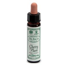 AINSWORTHS CHERRY PLUM 10ML - farmascienza.it