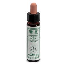 AINSWORTHS ELM 10ML - farmascienza.it