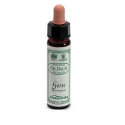 AINSWORTHS GORSE 10ML - farmascienza.it