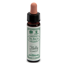 AINSWORTHS HOLLY 10ML - farmascienza.it