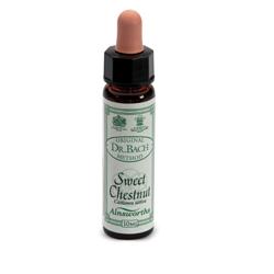 AINSWORTHS SWEET CHESTNUT 10ML - farmascienza.it