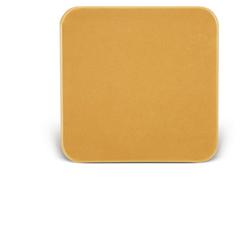 BARRIERA CUTANEA INTERAMENTE IN STOMAHESIVE PER LA PROTEZIONE DELL'AREA PERISTOMALE PLACCA STOMAHESIVE 10X10CM 5 PEZZI - farmascienza.it