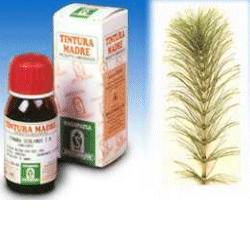 EQUISETO 12 50ML TM - farmascienza.it