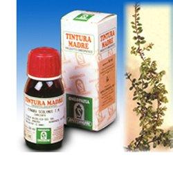 UVA URSINA 30 50ML TM - farmascienza.it