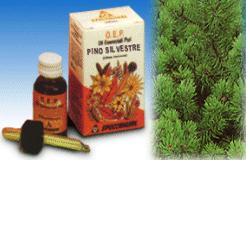 PINO SILVESTRE OLIO ESSENZIALE PURO 10 ML - farmascienza.it