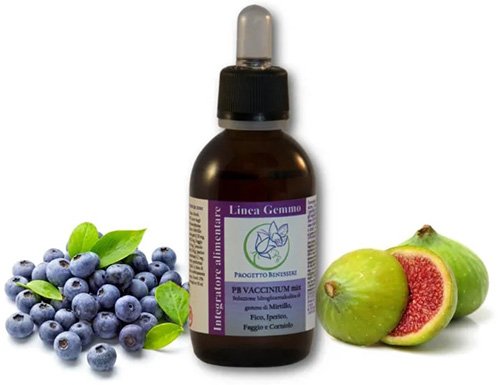 PB VACCINIUM MIX GOCCE 50 ML - farmascienza.it