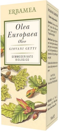 OLEA EUROPEA OLIVO BIO 50 ML - farmascienza.it