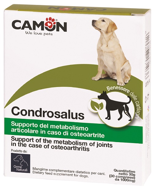 ORME NATURALI CONDROSALUS 60 COMPRESSE - farmascienza.it
