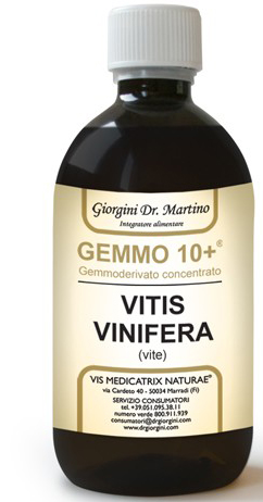 GEMMO 10+ VITE LIQUIDO ANALCOLICO 100 ML - farmascienza.it