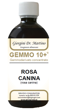 GEMMO 10+ ROSA CANINA LIQUIDO ANALCOLICO 500 ML - farmascienza.it