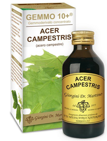 GEMMO 10+ ACERO CAMPESTRE 100 ML LIQUIDO ANALCOLICO - farmascienza.it