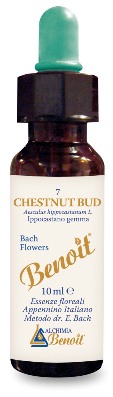 FIORI DI BACH BENOIT CHESTNUT BUD 10 ML - farmascienza.it
