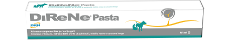 DIRENE PASTA 15 ML - farmascienza.it