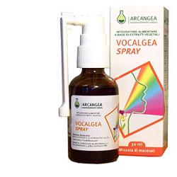 VOCALGEA SPRAY SOLUZIONEN ALCOLICA 30 ML - farmascienza.it