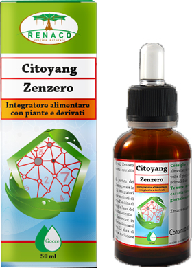CITOYANG ZENZERO GOCCE FLACONCINO 50 ML - farmascienza.it