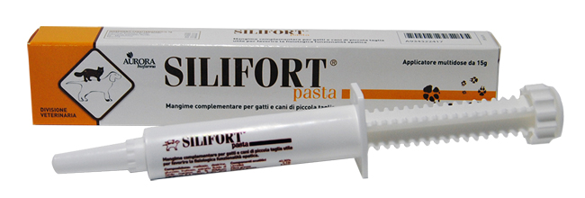 SILIFORT PASTA OS SIRINGA 15 G - farmascienza.it