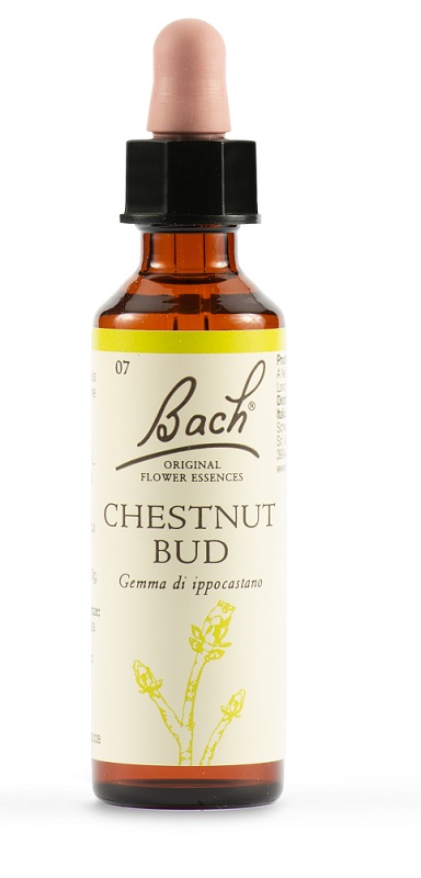 CHESTNUT BUD BACH ORIG 20 ML - farmascienza.it