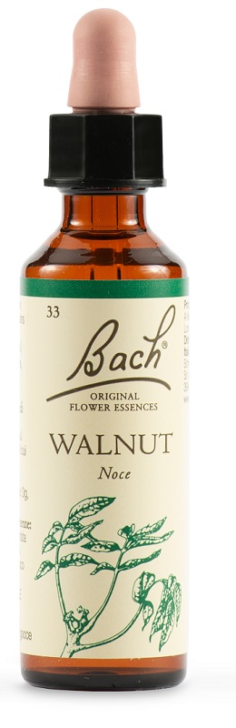 WALNUT BACH ORIG 20 ML - farmascienza.it