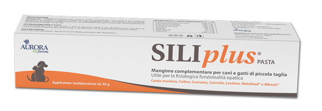 SILIPLUS PASTA 30 G - farmascienza.it